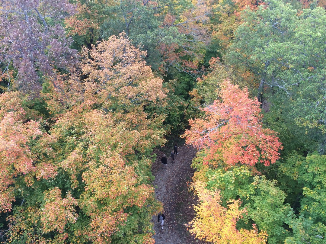 Parc Régional du Mont Morissette-Blue Sea必去景点
