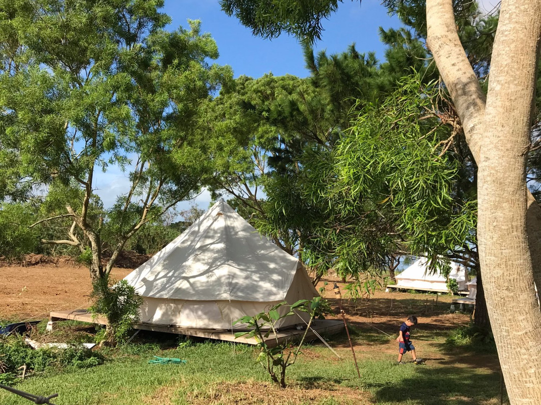 Pension Prussian Blue主图