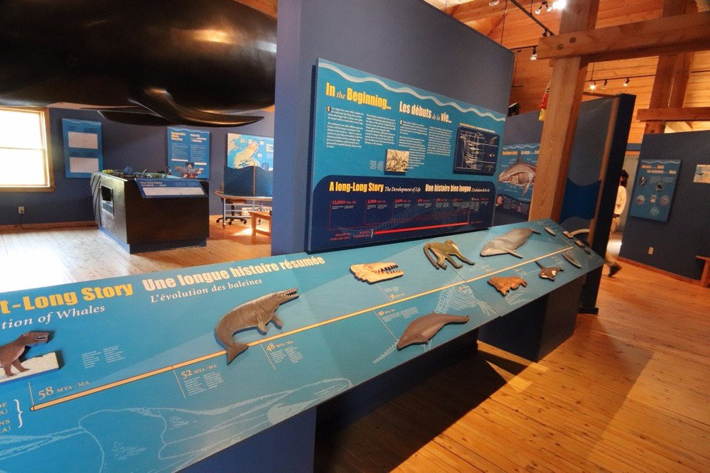 Whale Interpretive Centre景点图片