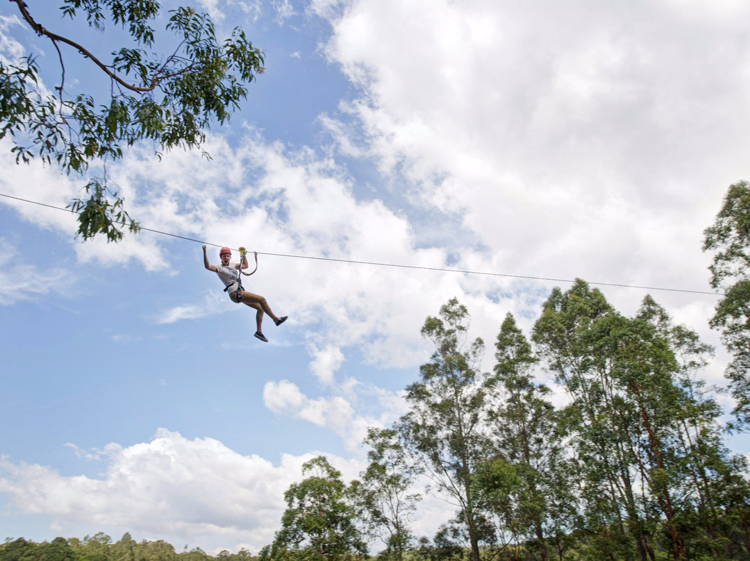 TreeTops Newcastle景点图片