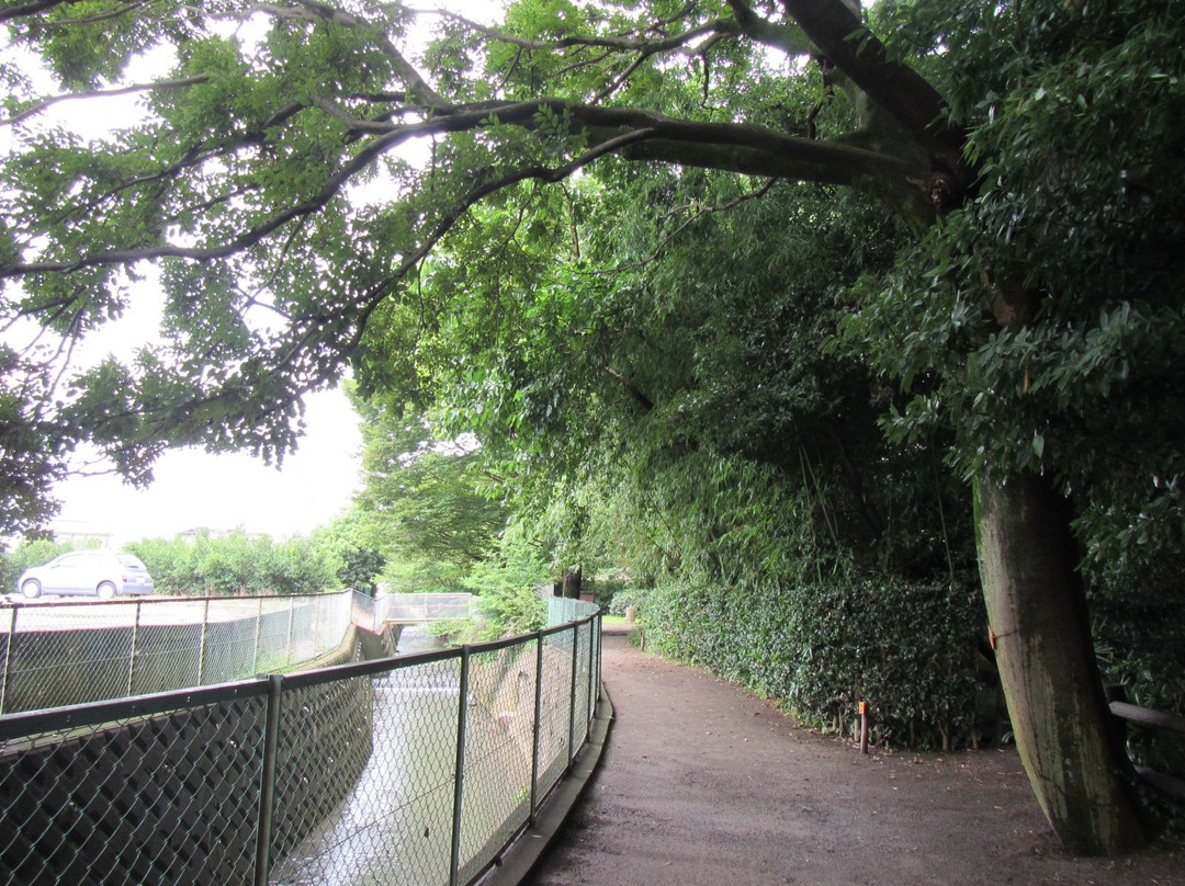 Former Mekujiri River Furusato Pedestrian Path-寒川町必去景点