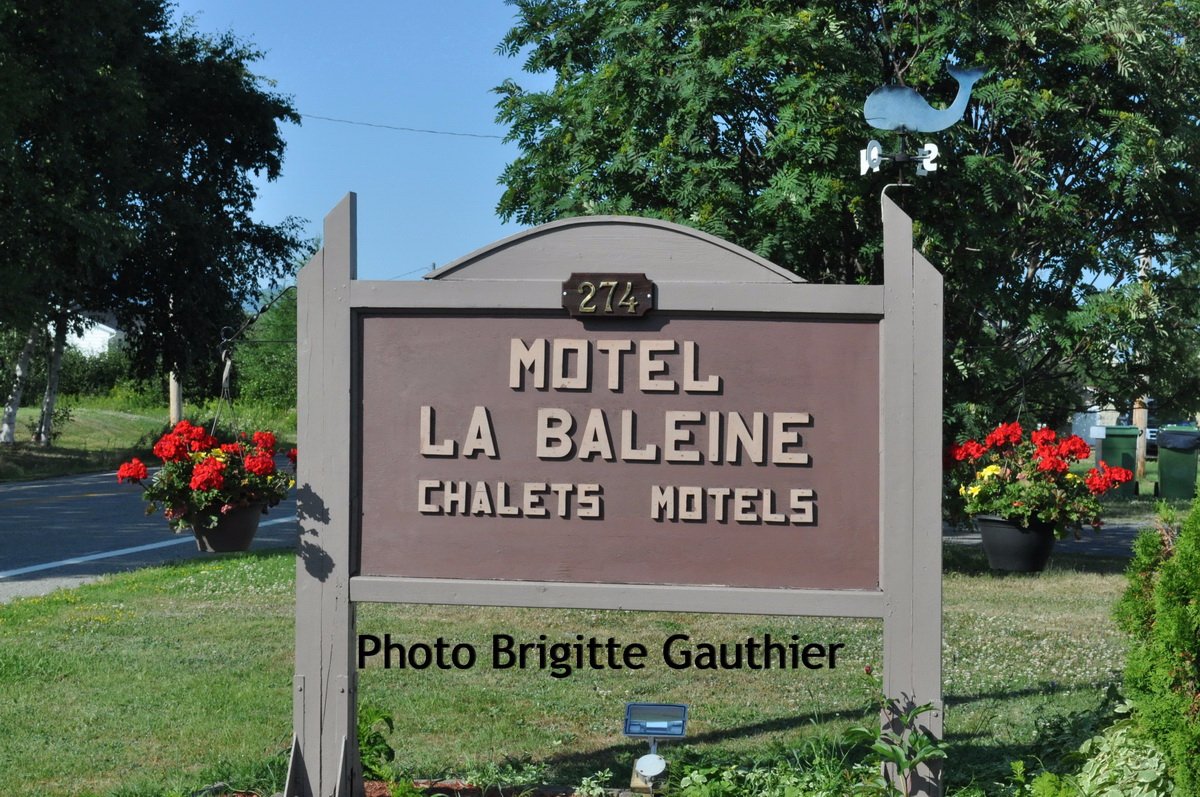 Motel La Baleine-官方
