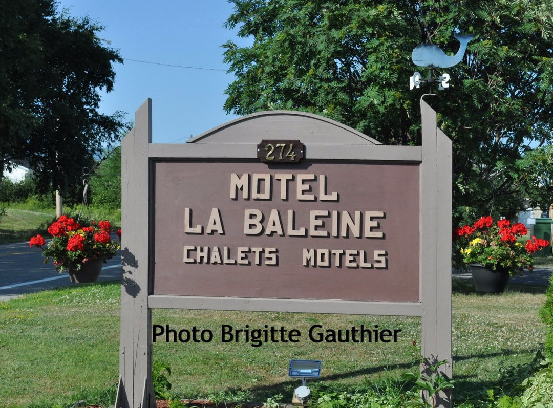 Motel La Baleine主图