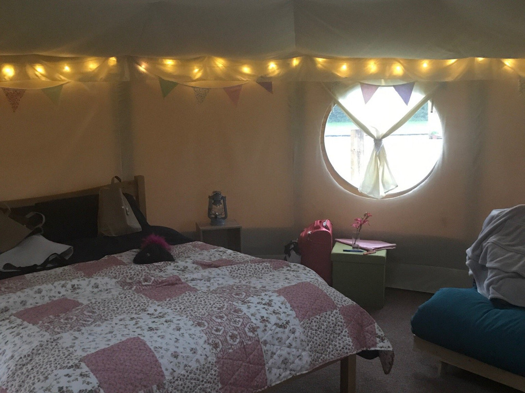 Kingfisher Lakes Glamping & Lodges