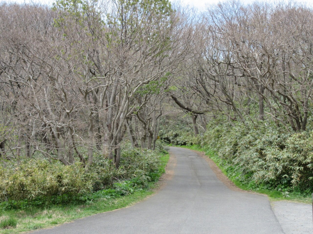 Harukaramoi-室兰市必去景点