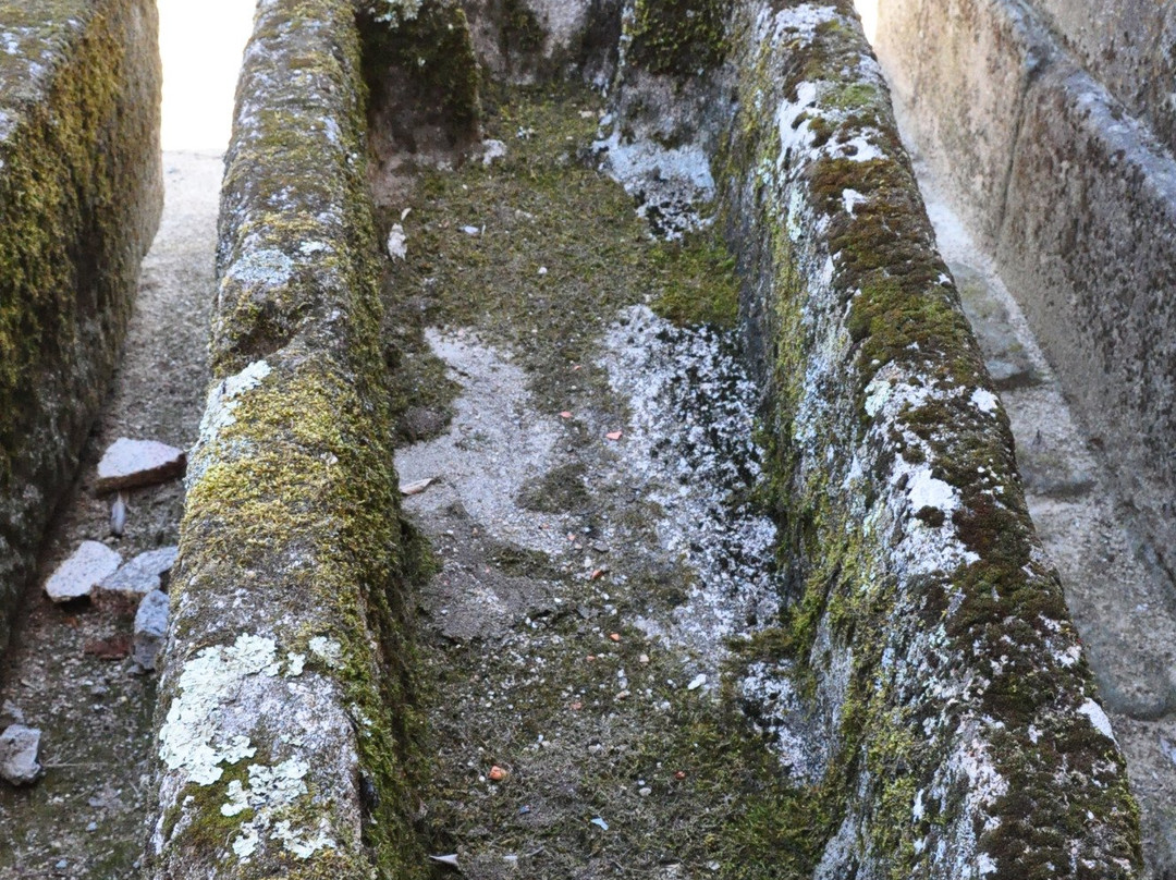 Mosteiro De Bravaes景点图片