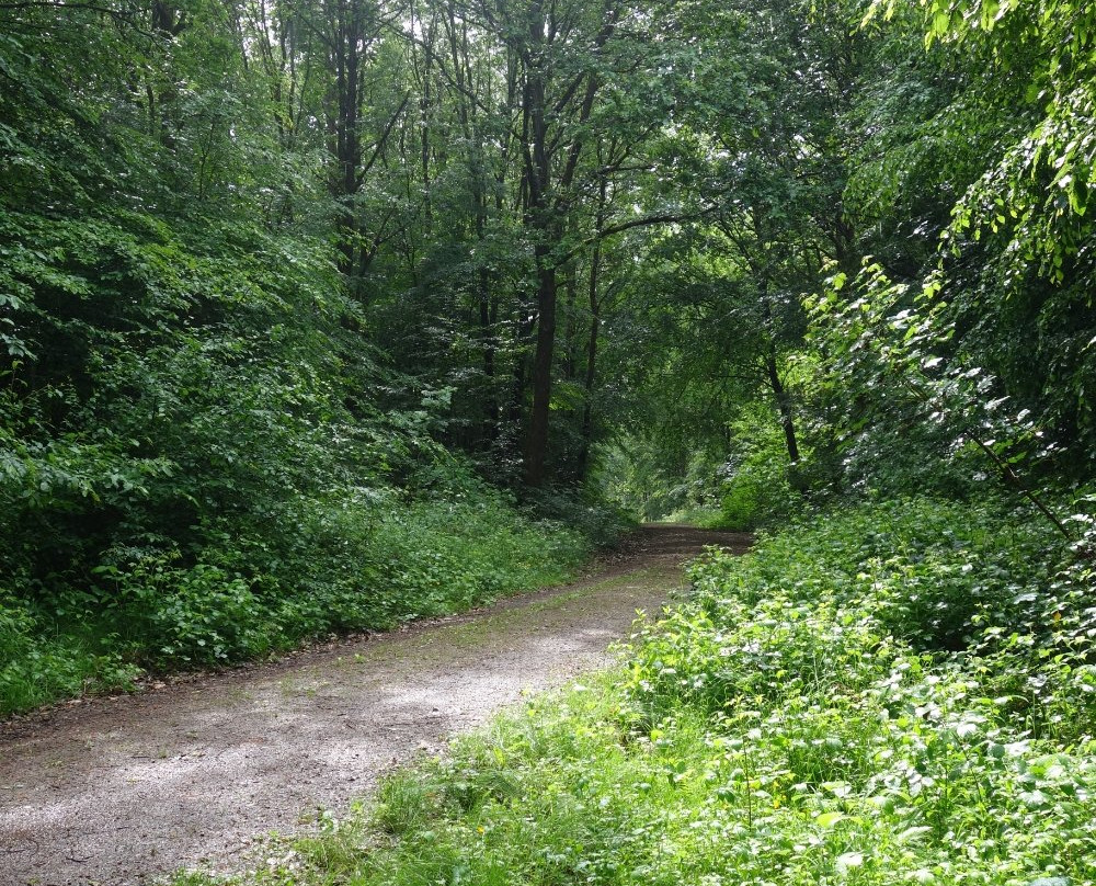 Karl-May-Wanderweg - Auf fremden Pfaden景点图片