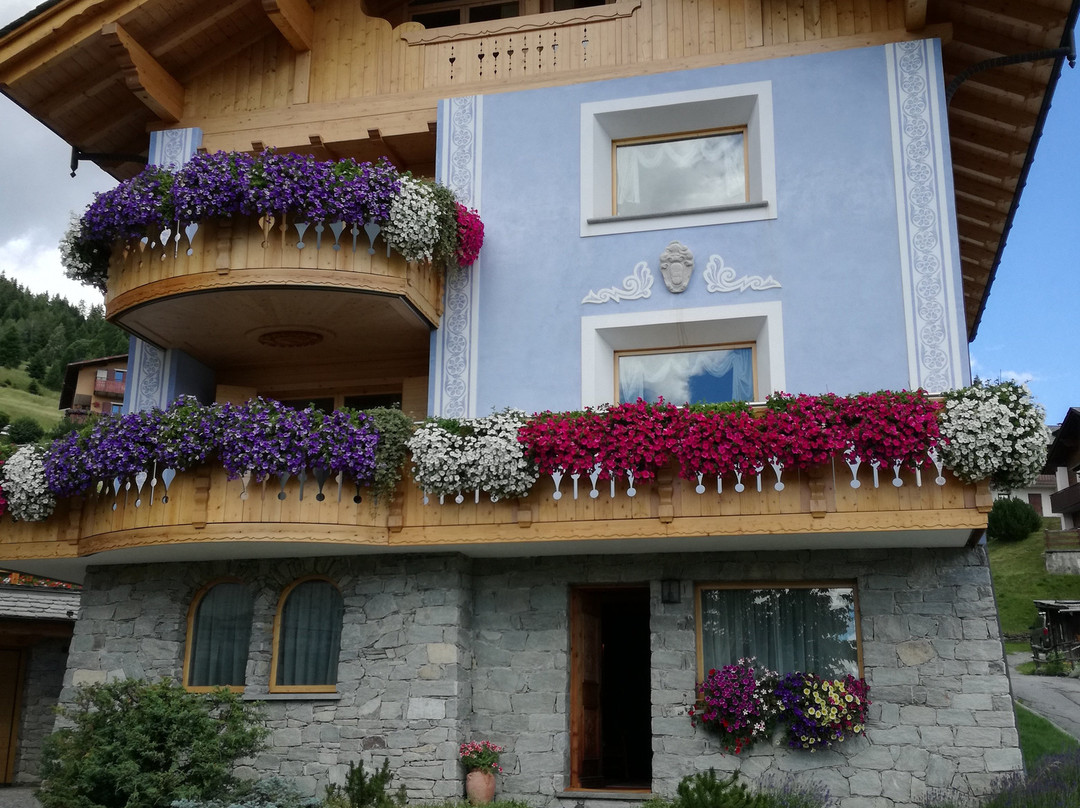 Anyma B&B