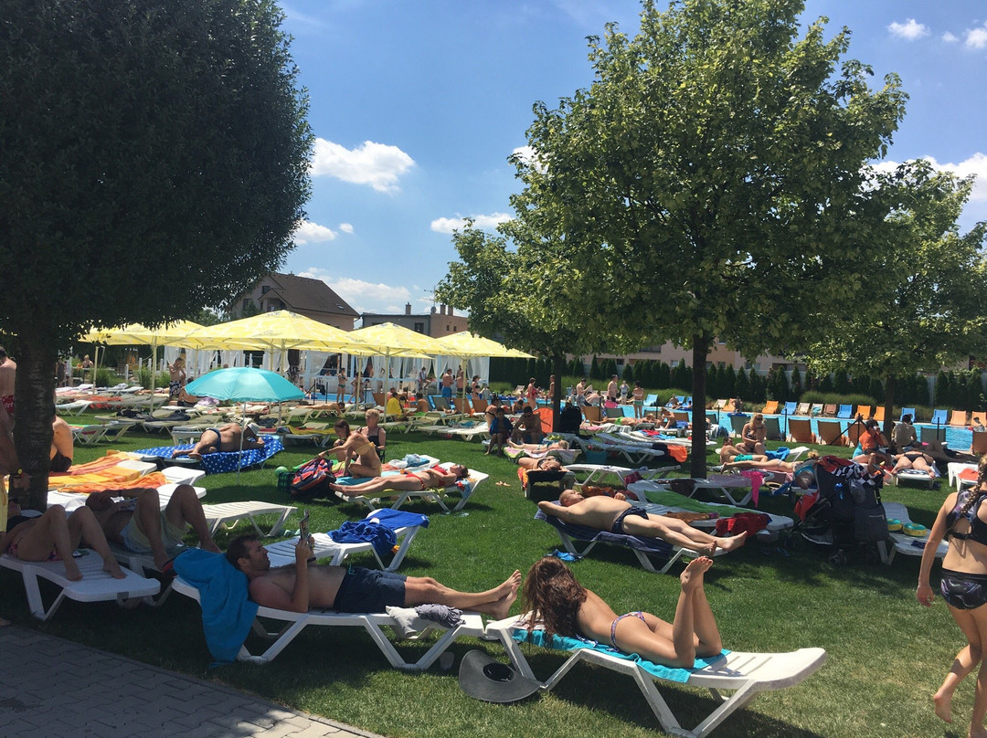 Aquapark Senec-Senec必去景点
