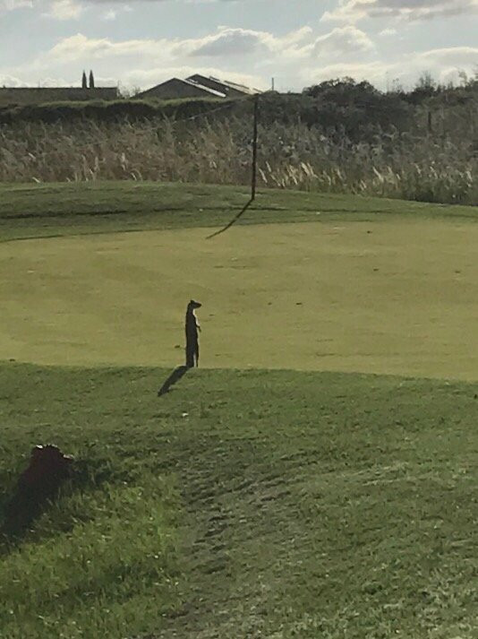 Bankenveld Golf Club-Emalahleni必去景点