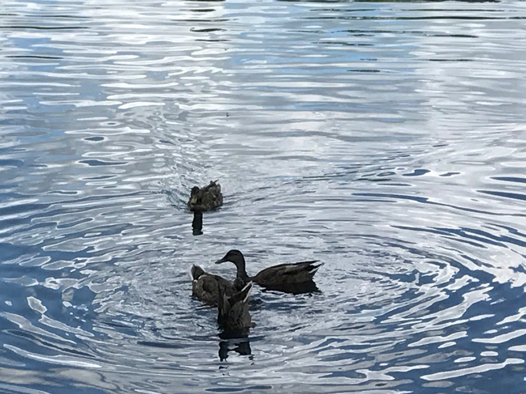 Homestead Metro Park-Hilliard必去景点