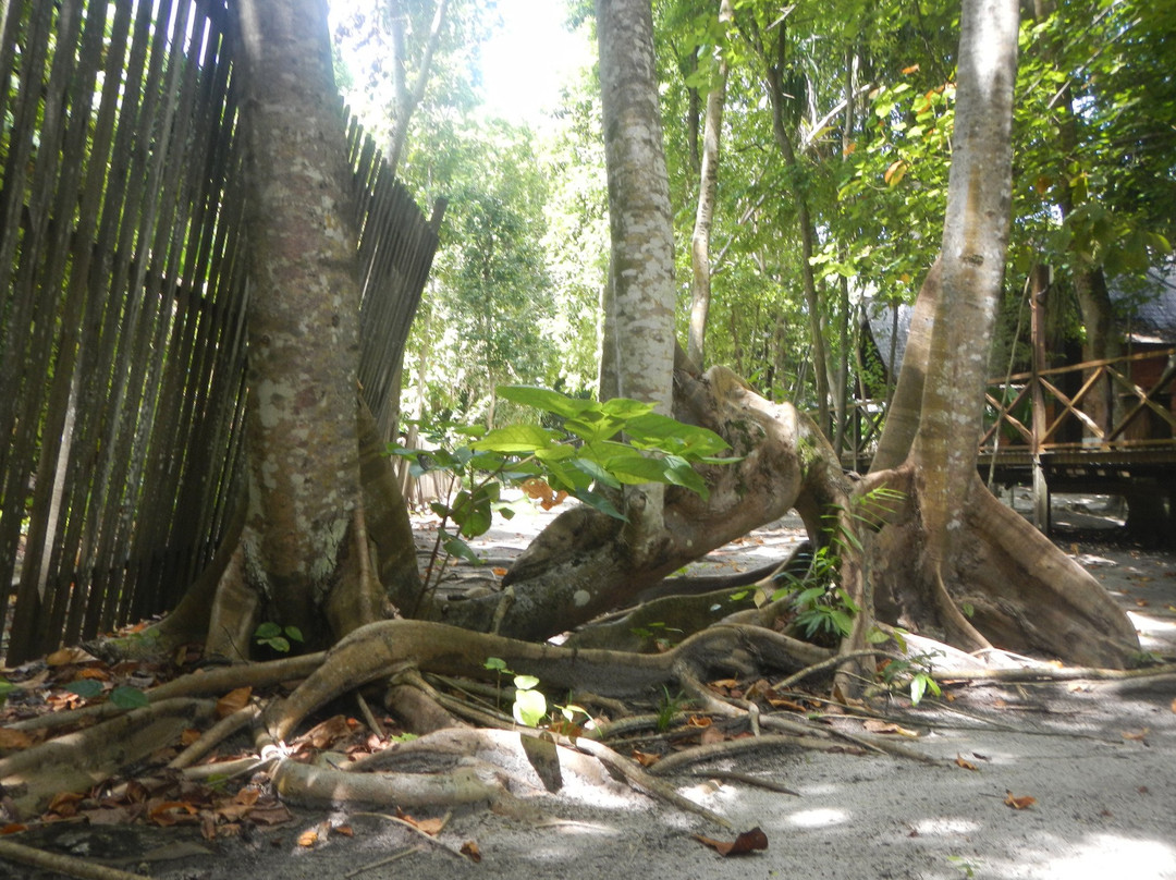 朗卡央岛旅游攻略图片