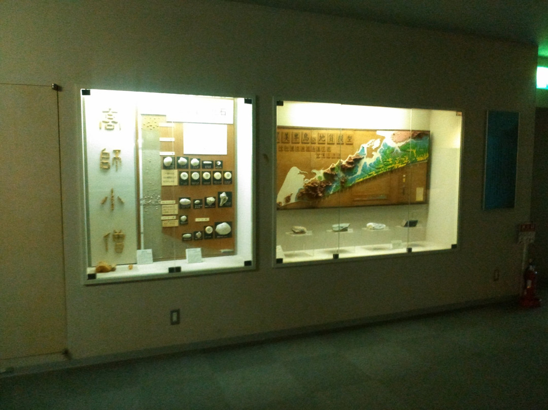Yashinomi Museum-田原市必去景点