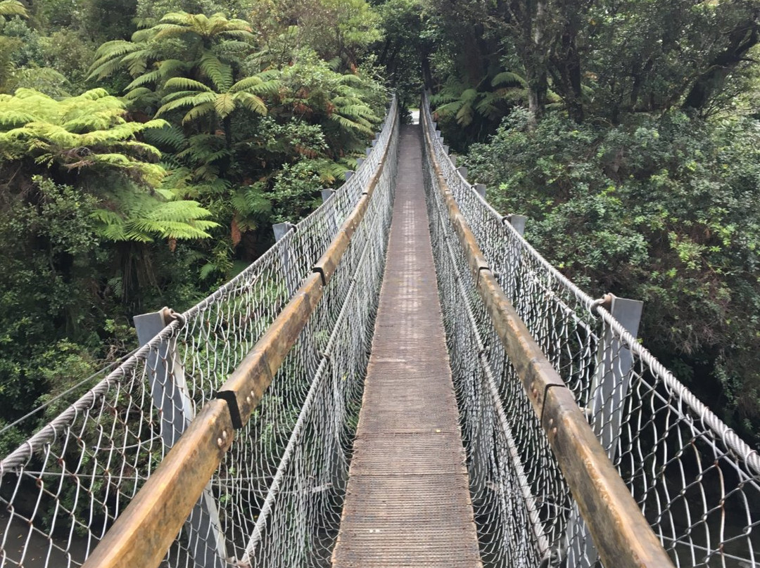 Kaitoke Regional Park景点图片