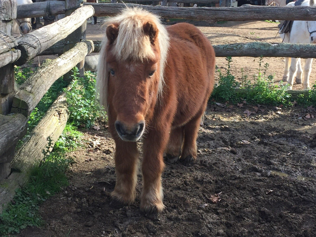 Megalong Valley Farm-Megalong Valley必去景点