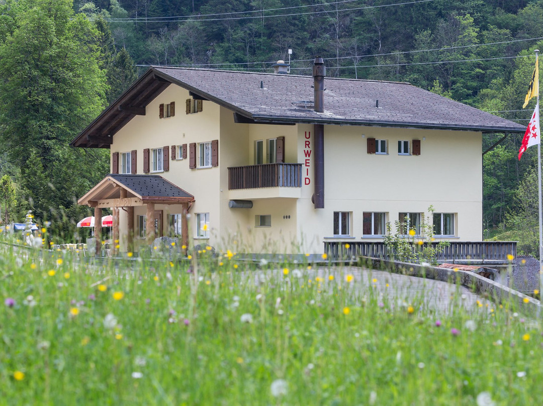 因纳特基兴酒店住宿-Hotel Urweid Grimselstrasse
