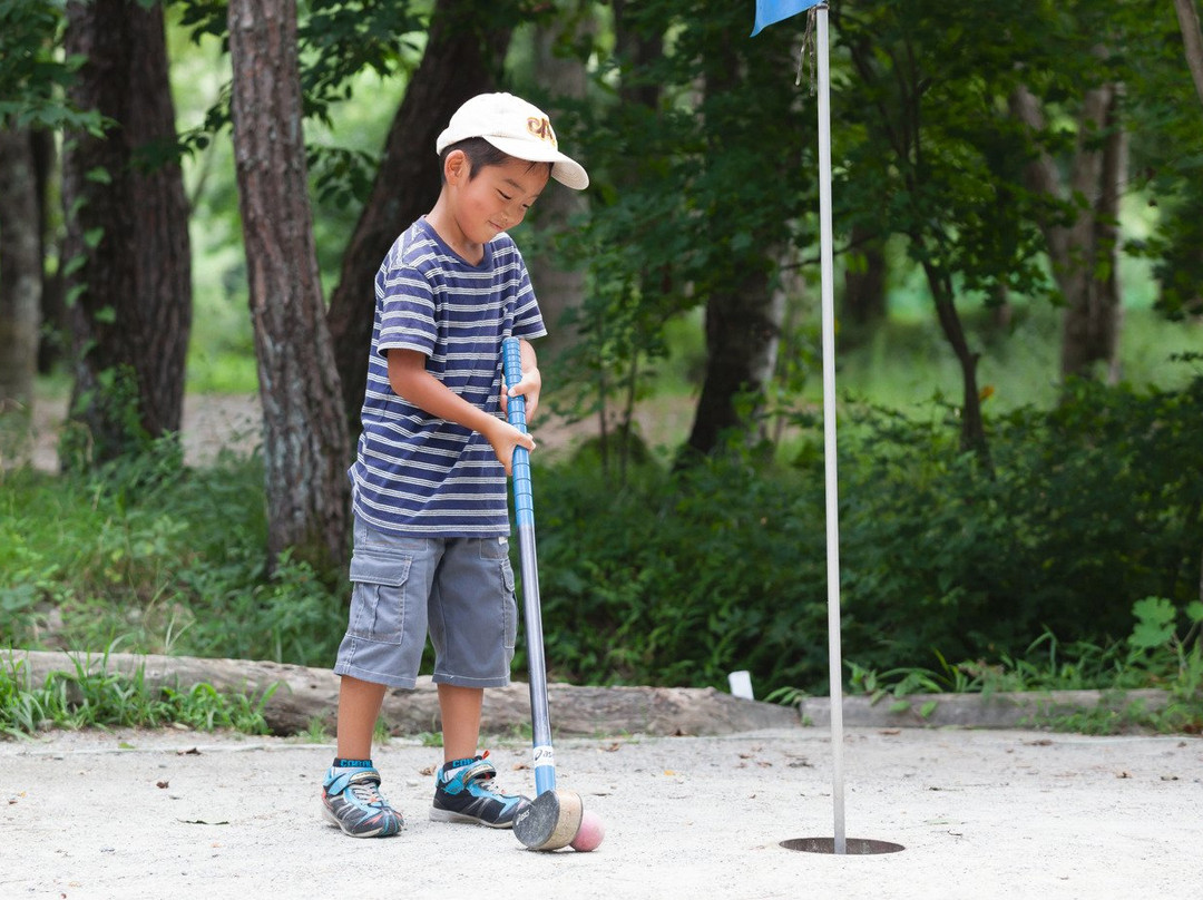 Hakuba Green Sports Forest景点图片