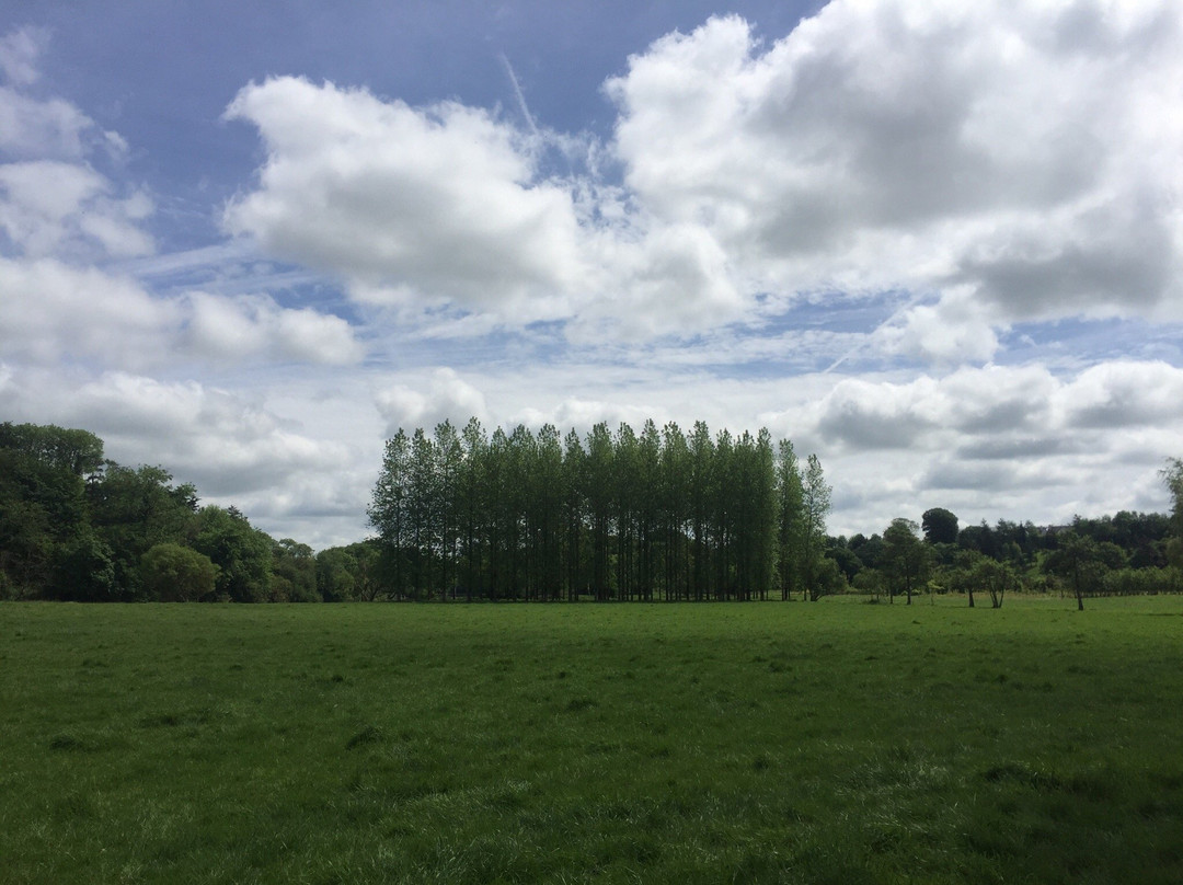 Barnane Walk-Fermoy必去景点