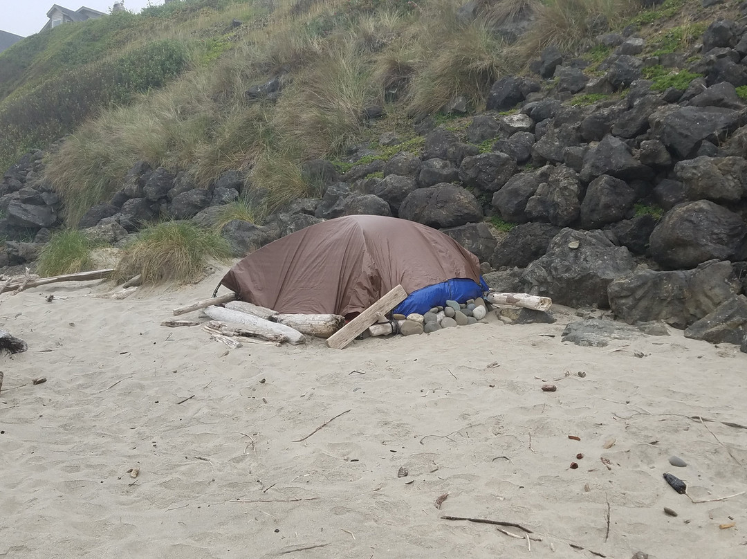 D River State Recreation Site-林肯城必去景点