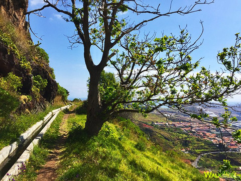 Walkme Madeira Levadas-沙尔必去景点
