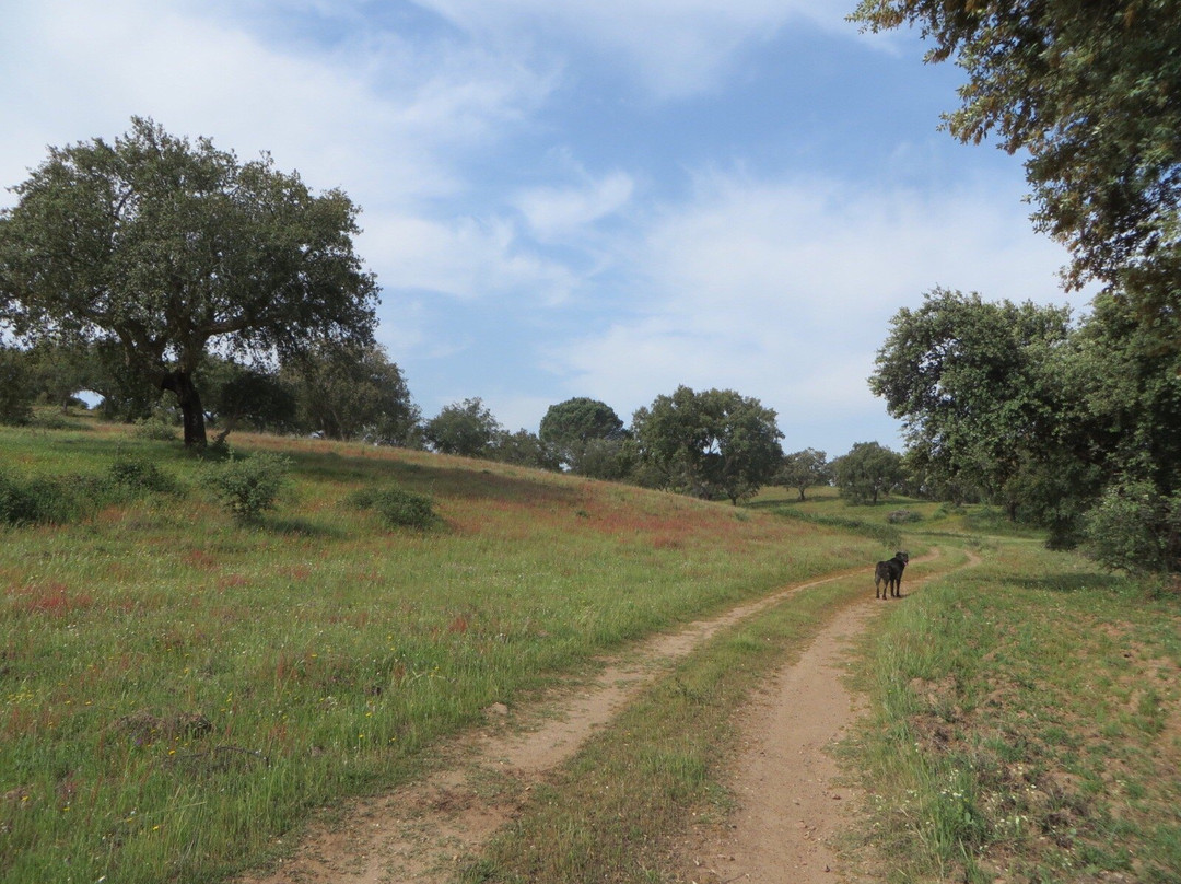 Corktrekking-Redondo必去景点
