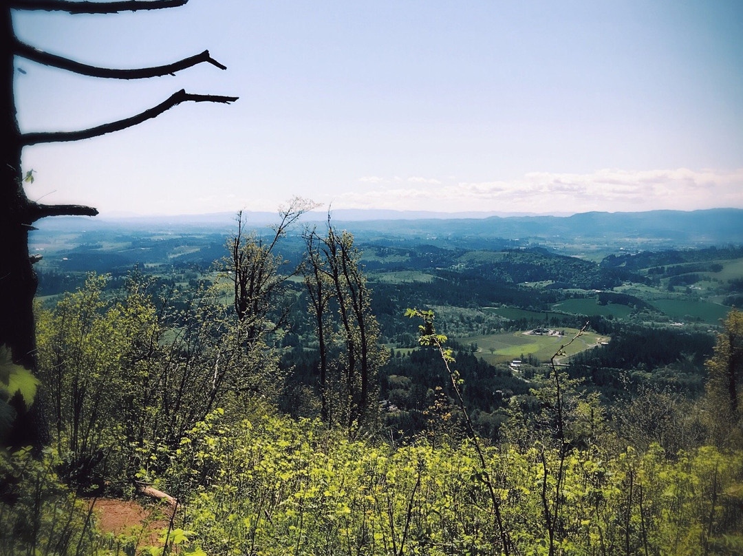 Bald Peak State Park-希尔斯伯勒必去景点