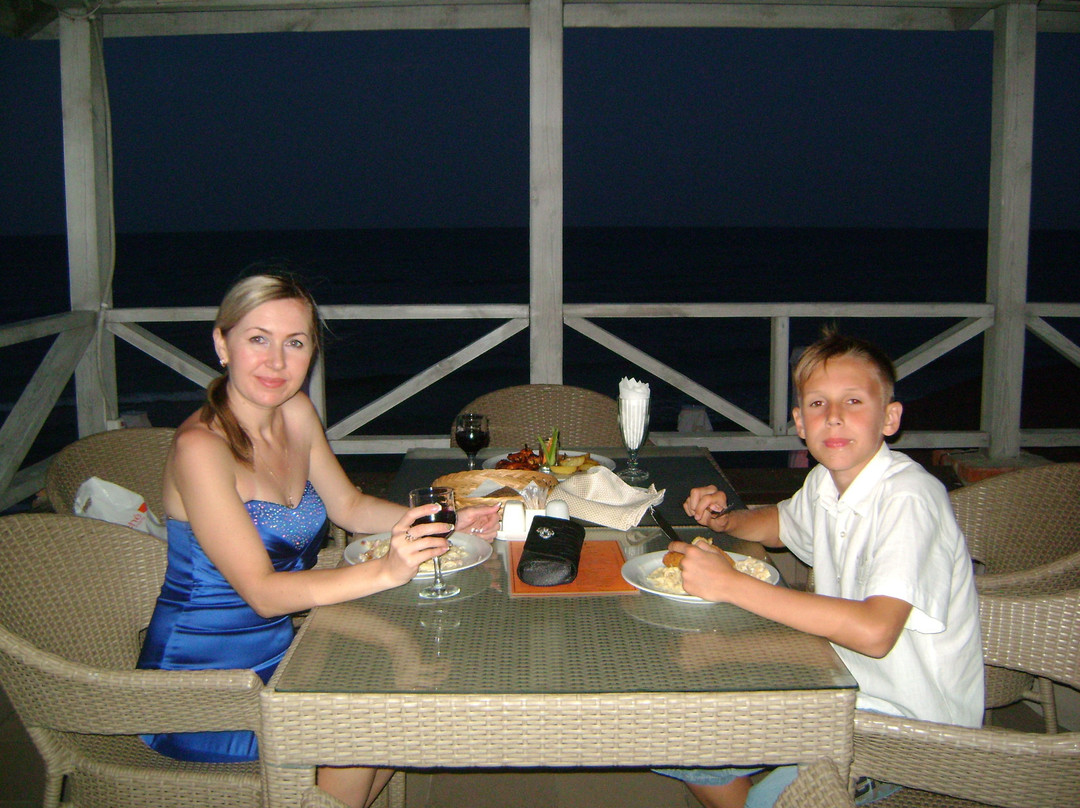 SPA-Club Diodon主图