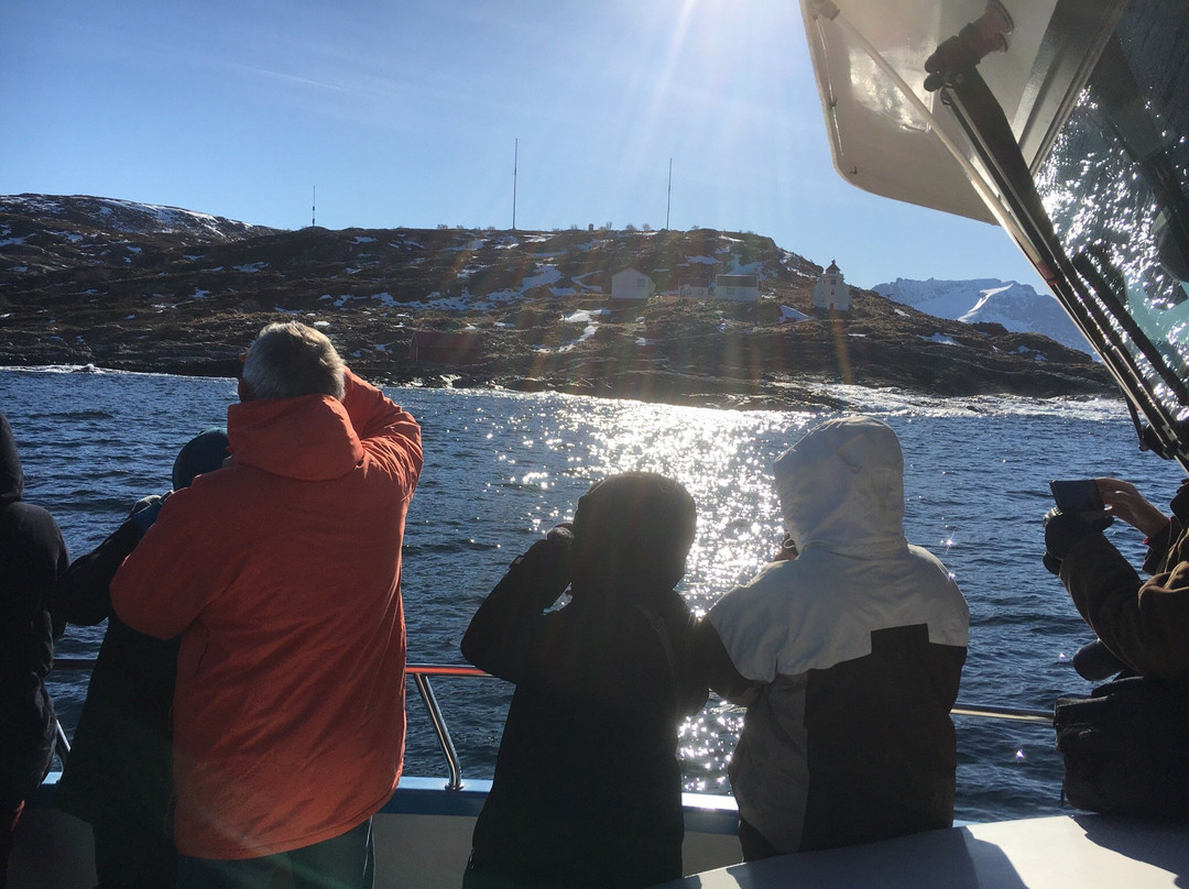 Sommarøy Cruise-Sommaroy必去景点