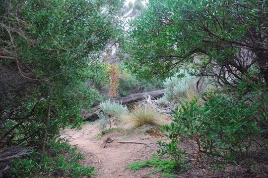 Trousers Point Walk-Flinders Island必去景点