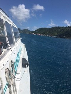 Dolphin Water Taxi-圣 托马斯必去景点