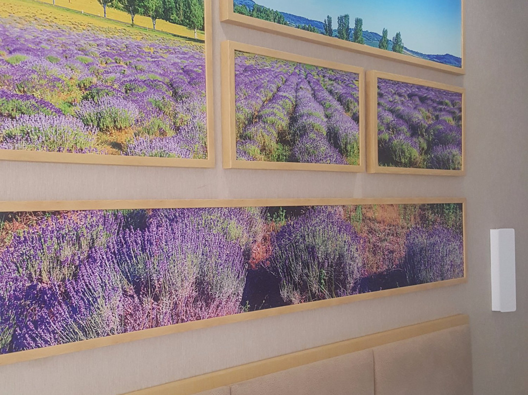 麗枫酒店·潮州广场店主图