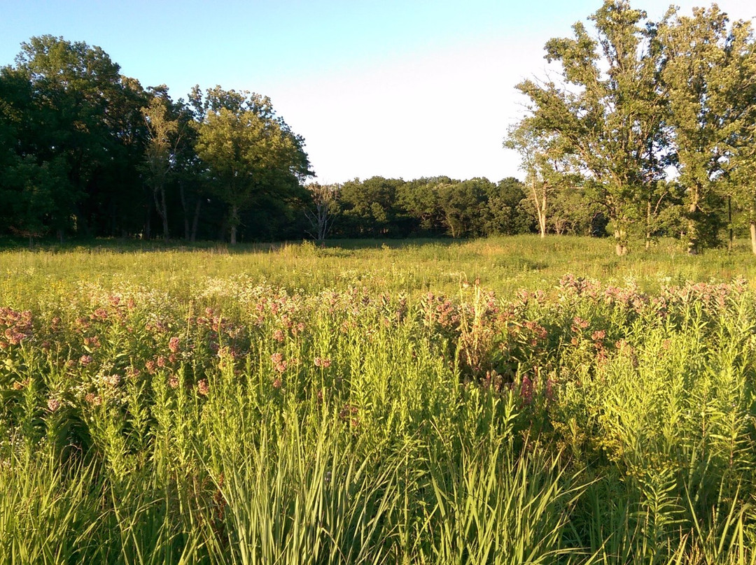 Elawa Farm-Lake Forest必去景点