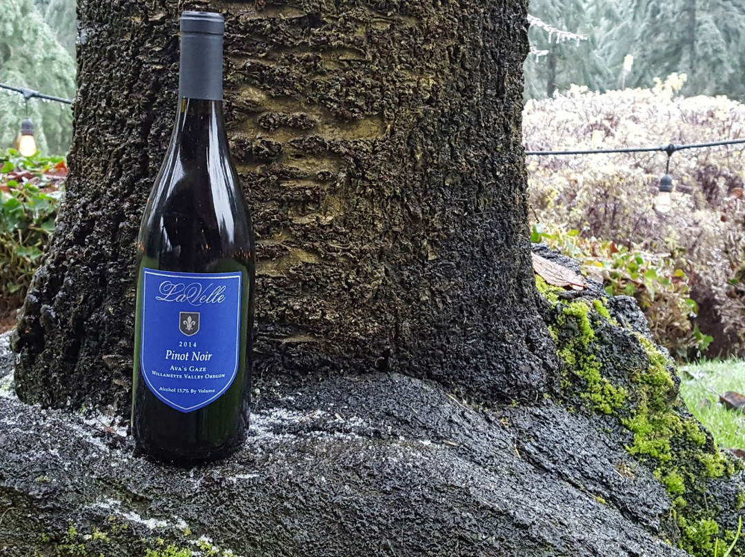 LaVelle Vineyards-尤金必去景点