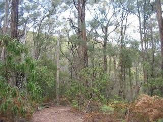 Mt Sugarloaf-Kinglake必去景点