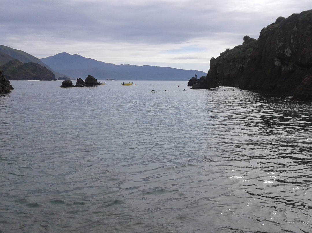 Baja Diving Adventures景点图片