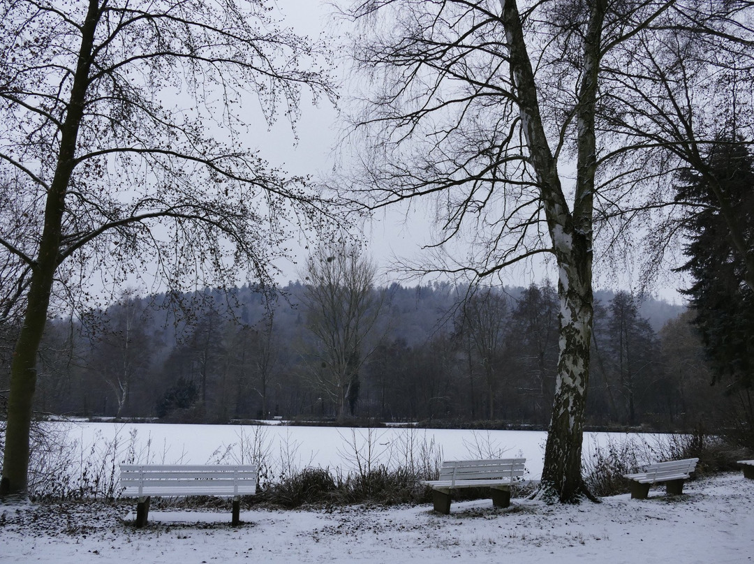 Kurpark Bad König-Bad Konig必去景点