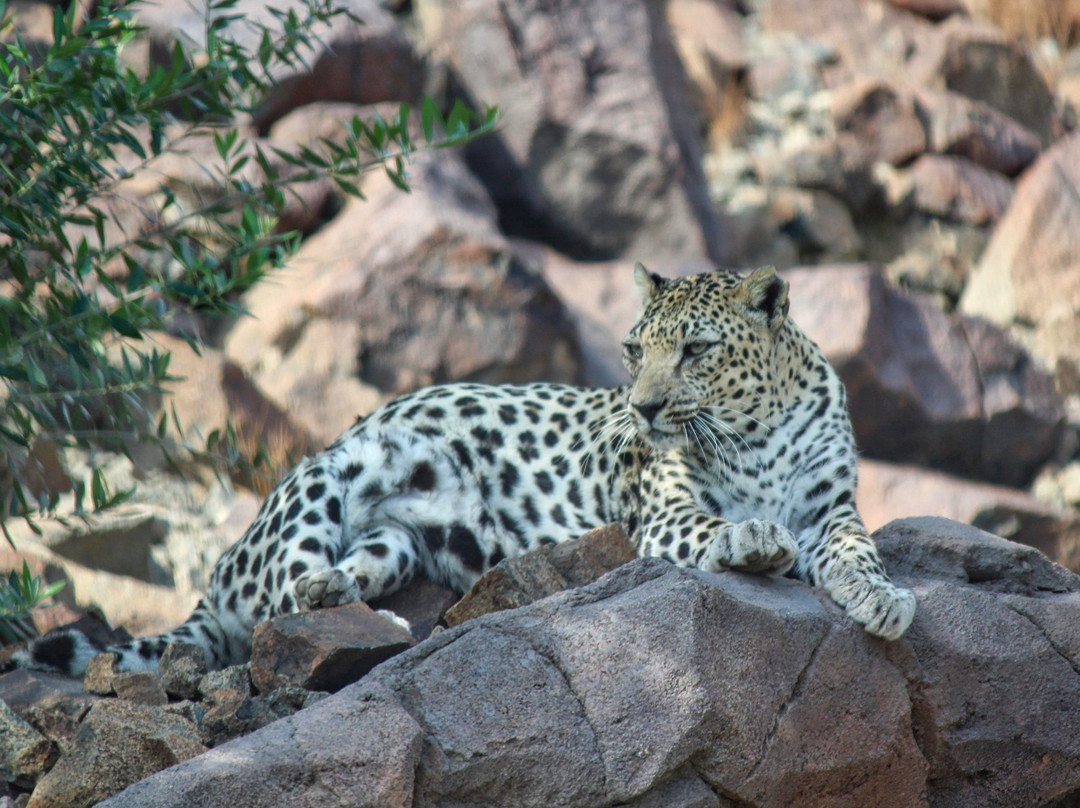 Al Hefaiyah Mountain Conservation Centre-Kalba必去景点