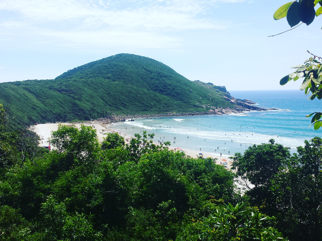 Praia do Rosa旅游攻略图片