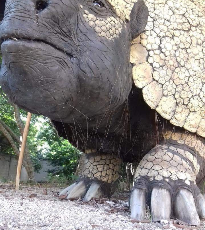 Museo de la Prehistoria Parque Dos Ojos-图伦必去景点