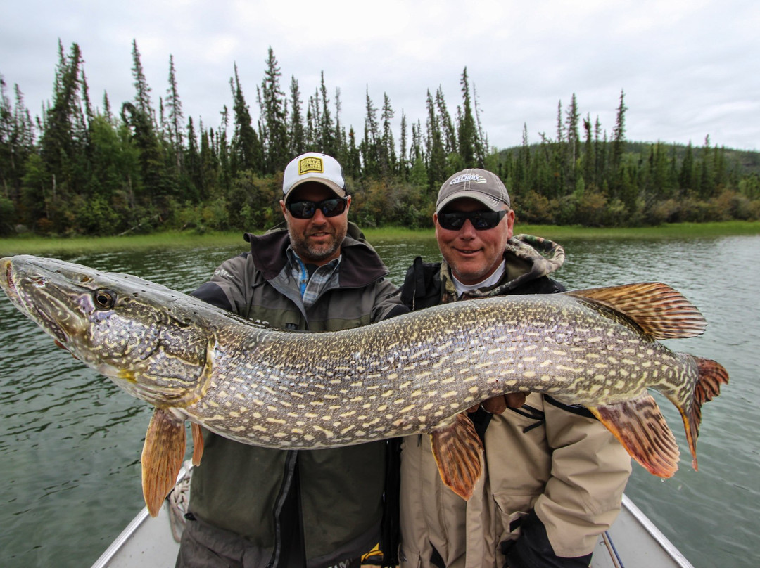 2024年2月Lutselk'e旅游景点攻略Lutselk'e旅游住宿,Lutselk'e旅游美食猫途鹰