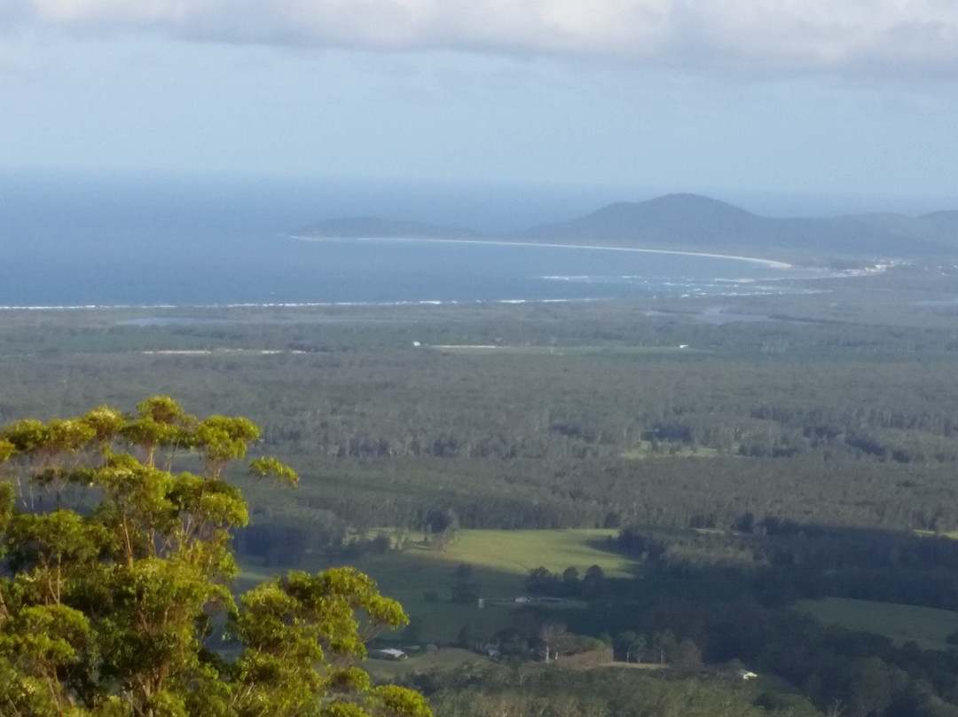 Yarrahapinni旅游攻略图片