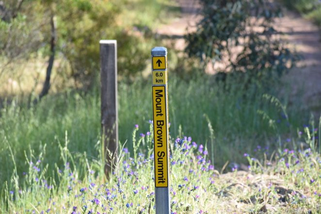 Mt Brown-阔恩必去景点