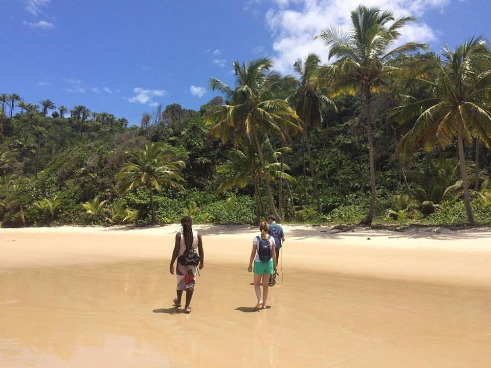 Bicho-preguiça Ecoturismo-Itacare必去景点