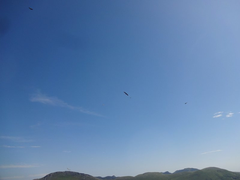 Col Bagargui景点图片
