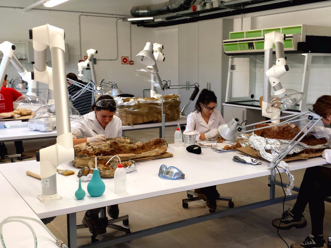Centre de Restauració i Interpretació Paleontològica景点图片