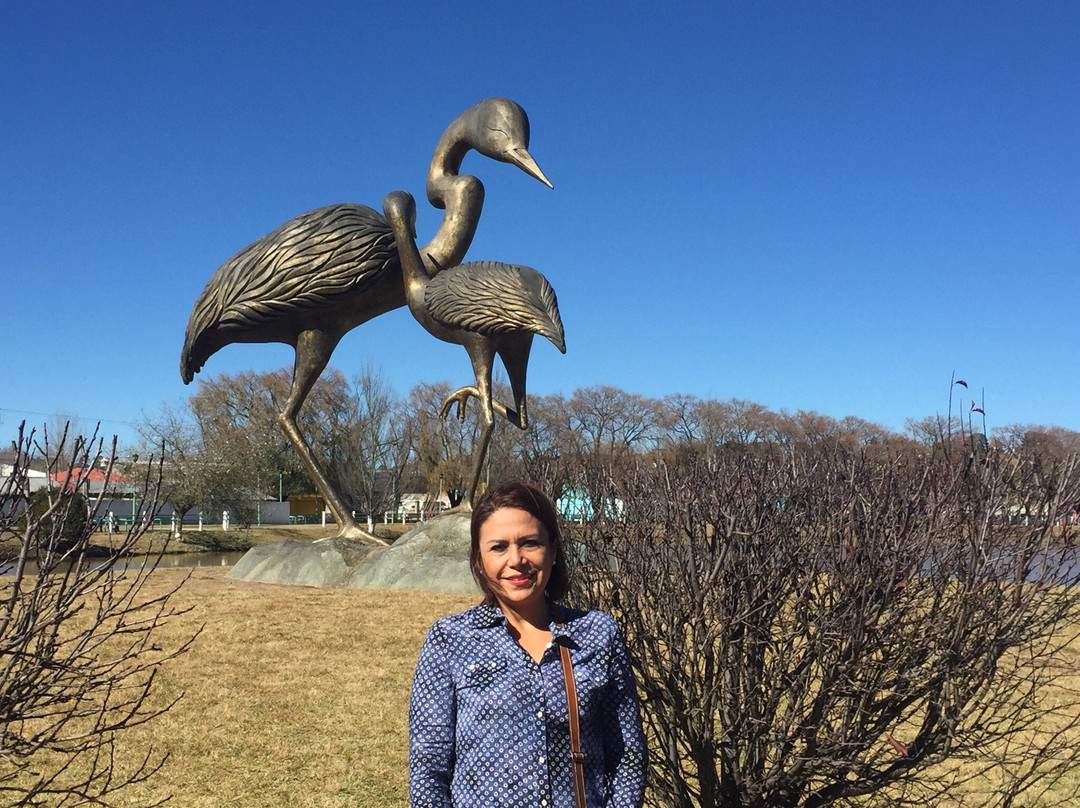 Lago de las Garzas-Guachochi必去景点