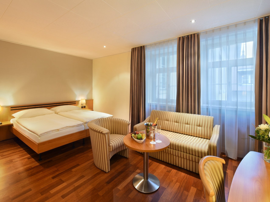 Hotel Amadeo主图