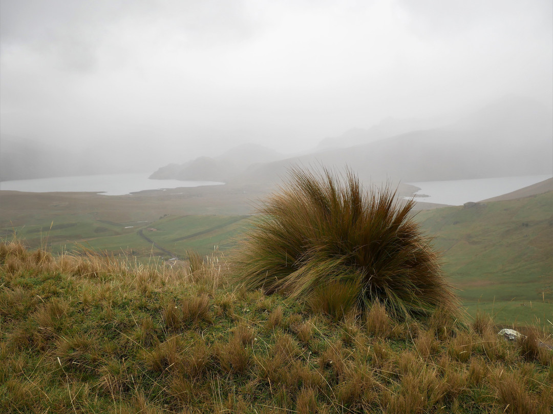 Lakes of Ozogoche (Lagunas de Ozogoche)-Riobamba必去景点