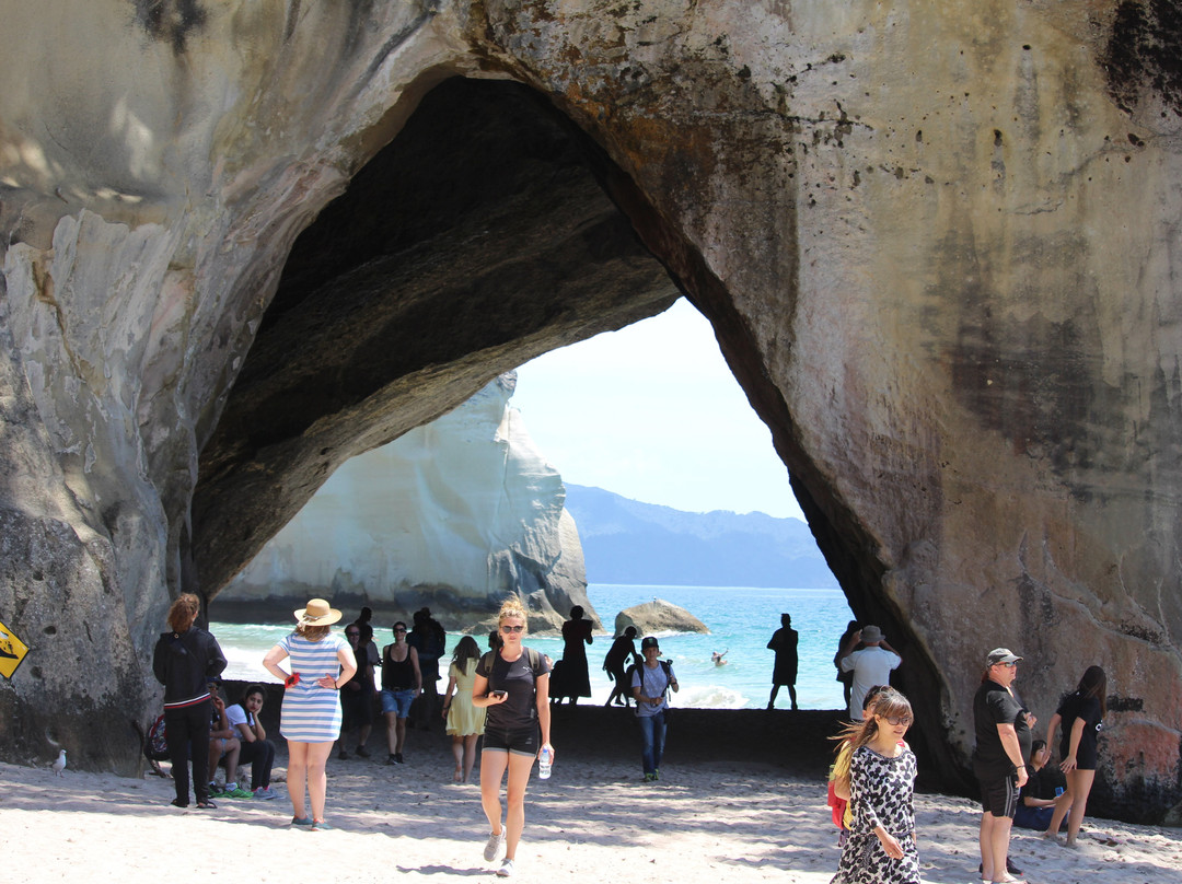 Blue Marlin Apartments主图