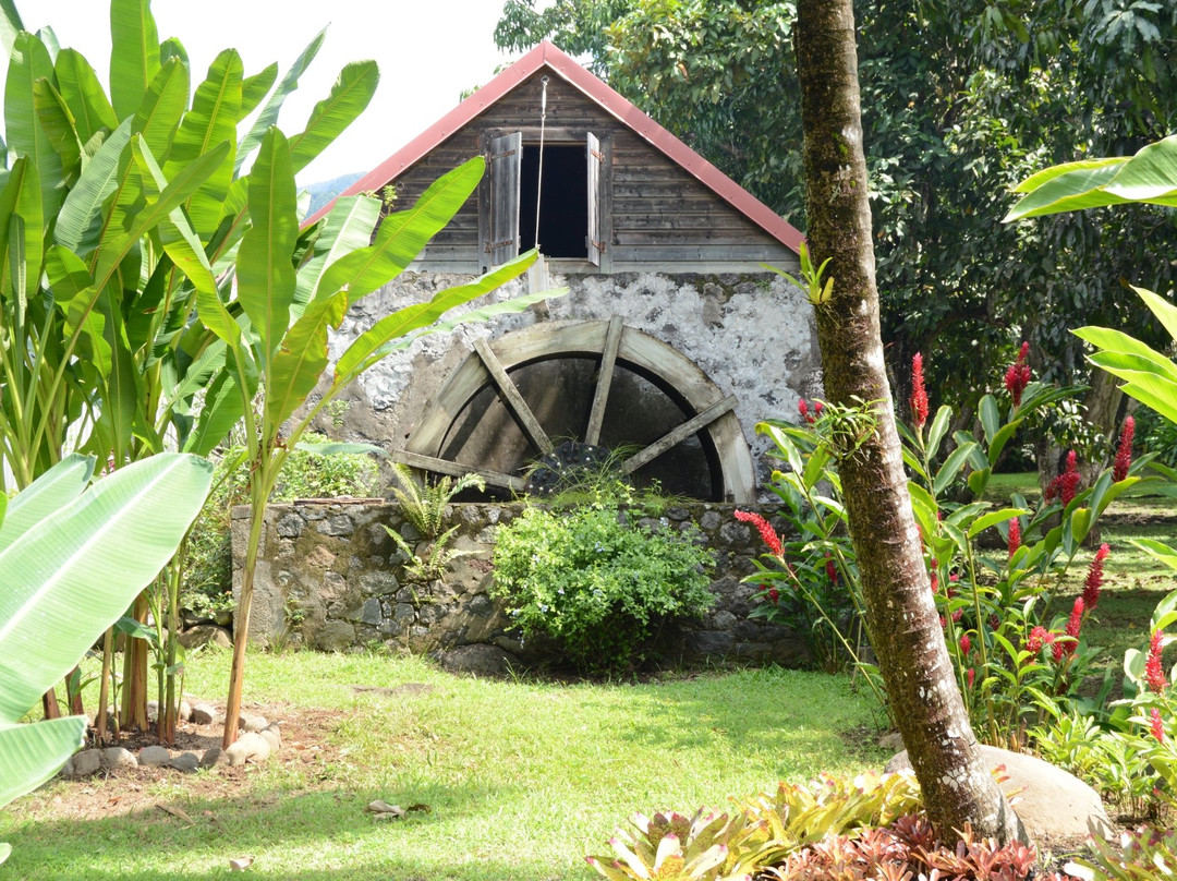 Habitation l'Oiseau主图